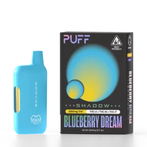 BLUEBERRY DREAM