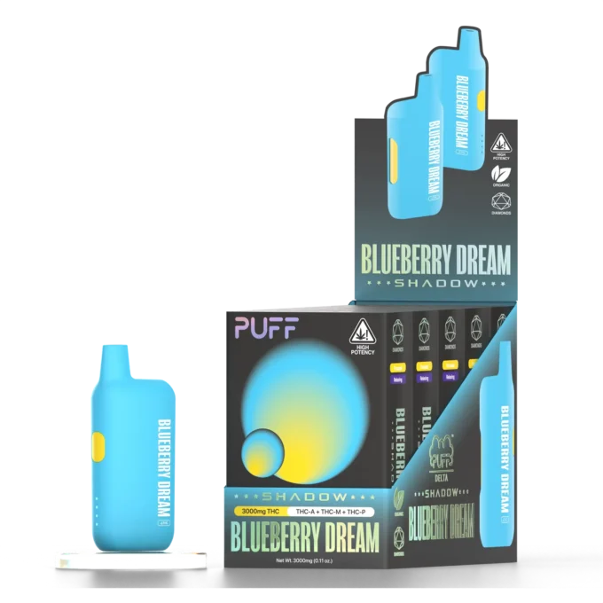 BLUEBERRY DREAM - Image 3