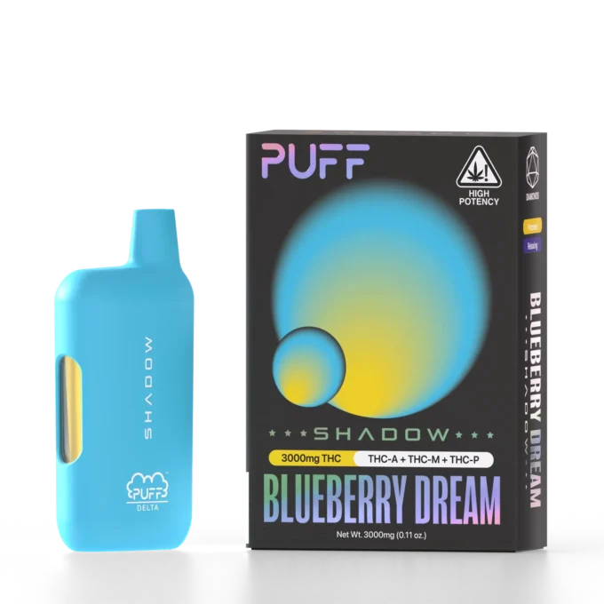 BLUEBERRY DREAM